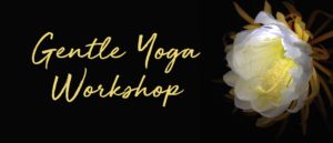 Gentle Yoga Workshop